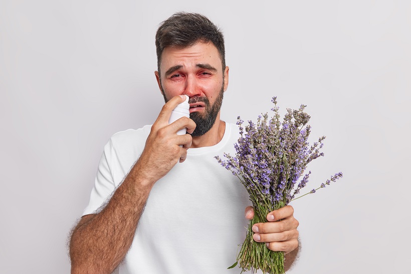 Upset bearded young man uses aerosol spray for stuffy nose holds bouquet of lavender has allergy illness symptom wears casual t shirt isolated over white background. Allergic sickness symptoms